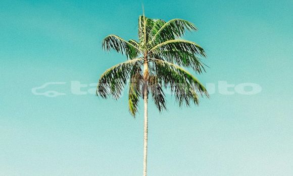 Medium with watermark image