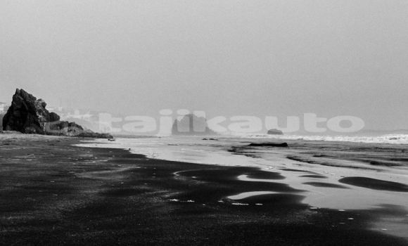Medium with watermark image