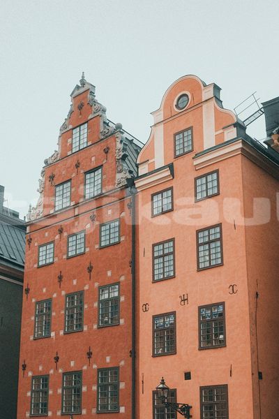 Big with watermark image