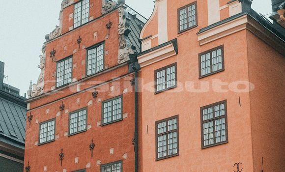 Medium with watermark image