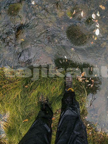 Big with watermark image