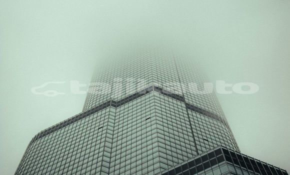 Medium with watermark image