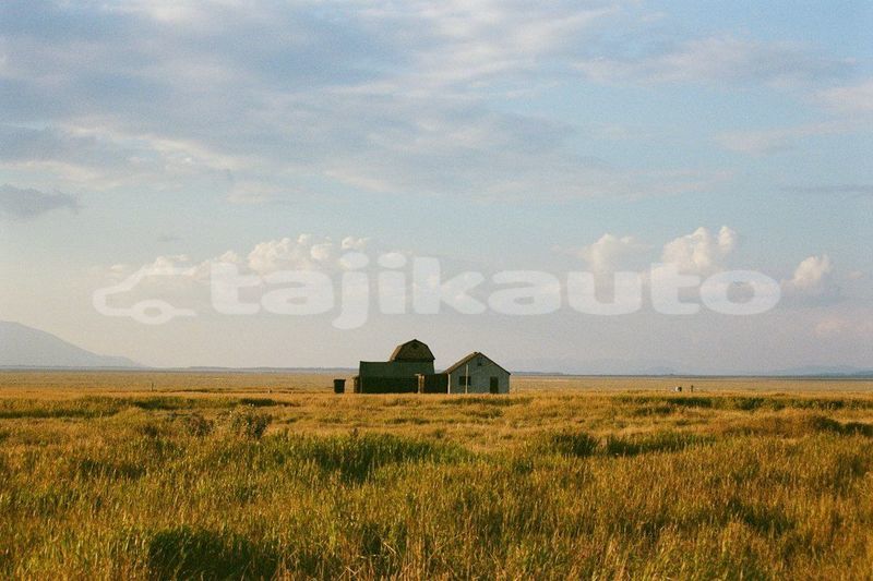 Big with watermark image