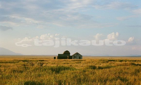Medium with watermark image