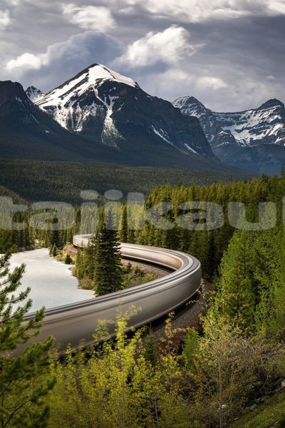 Big with watermark image