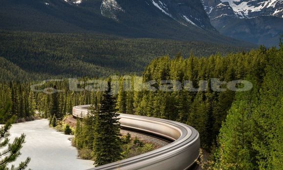 Medium with watermark image