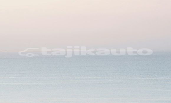 Medium with watermark image