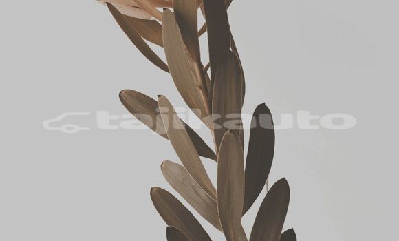 Medium with watermark image