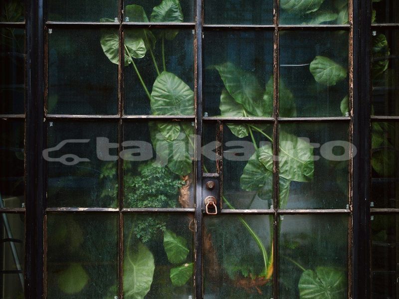 Big with watermark image