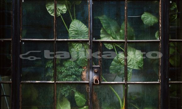 Medium with watermark image