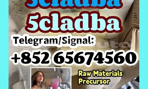 Medium with watermark erfbgvrgbvrfgbgh