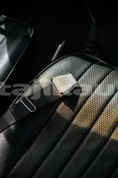 Big with watermark image