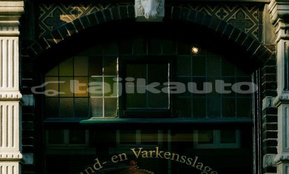 Medium with watermark image