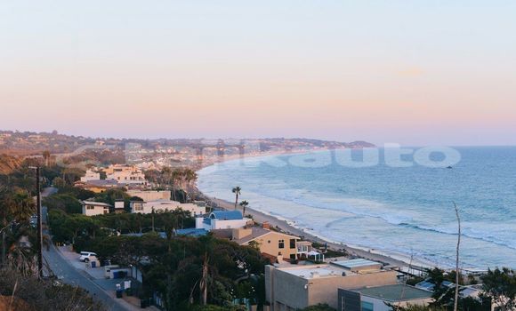 Medium with watermark image