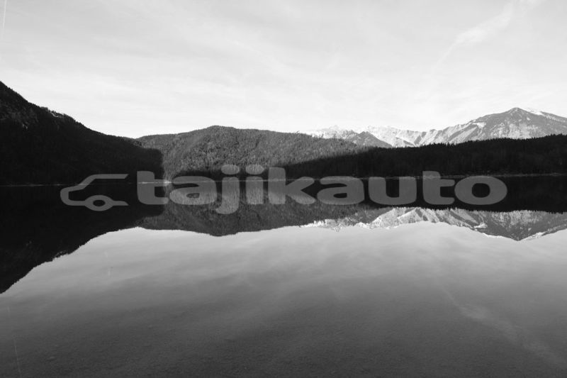 Big with watermark image