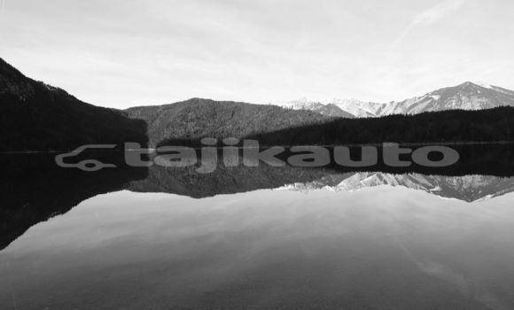 Medium with watermark image