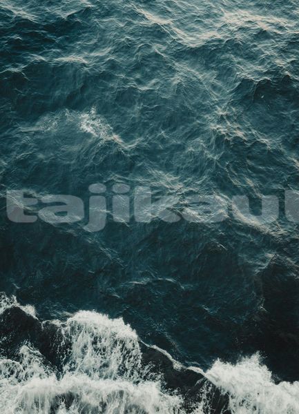 Big with watermark image
