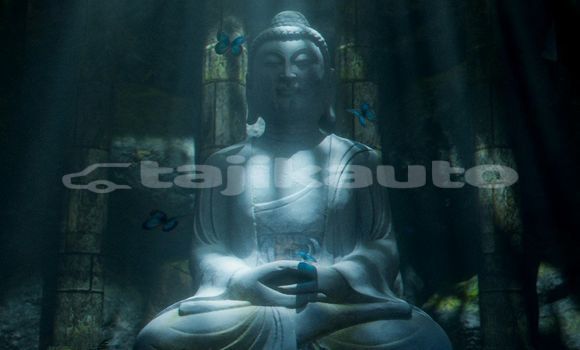 Medium with watermark image