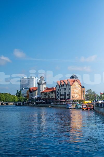Big with watermark image