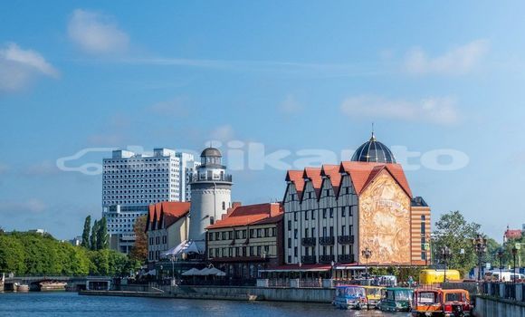 Medium with watermark image