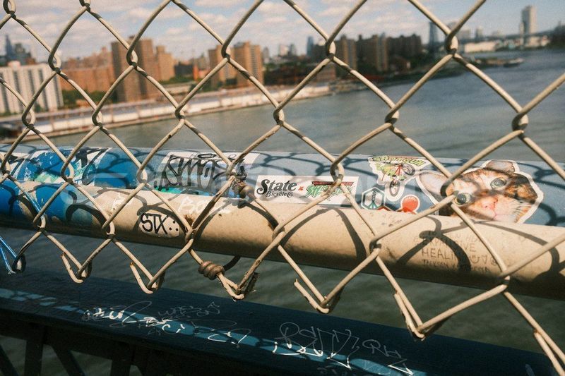 Big with watermark image