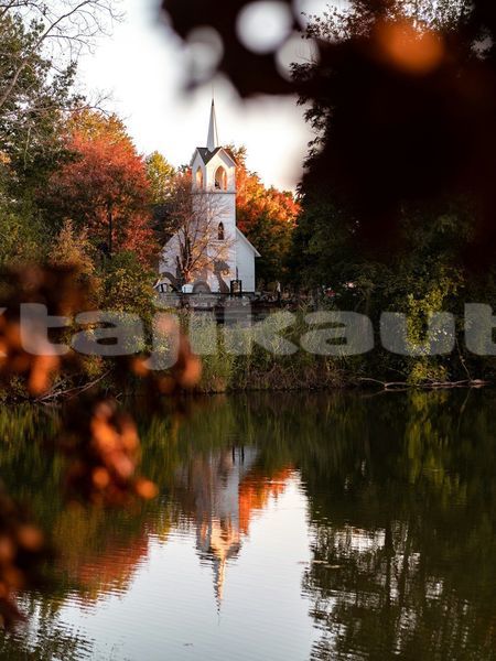 Big with watermark image