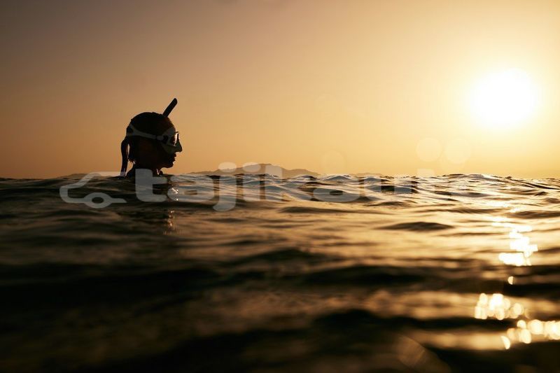 Big with watermark image