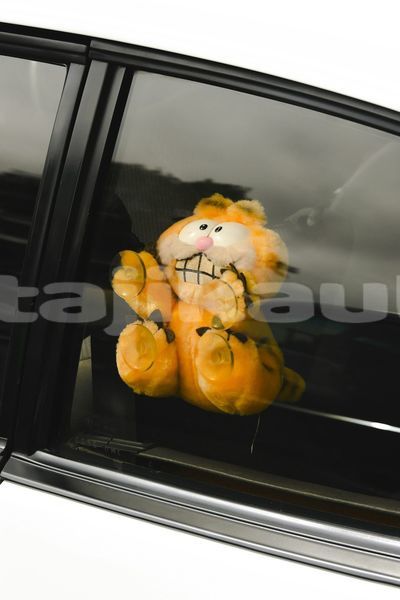 Big with watermark image