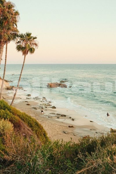 Big with watermark image