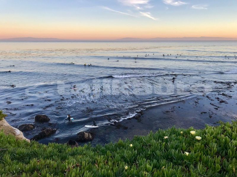 Big with watermark image
