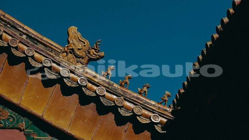 Big with watermark image