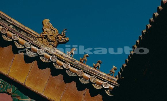 Medium with watermark image