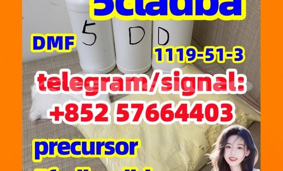Medium with watermark 51