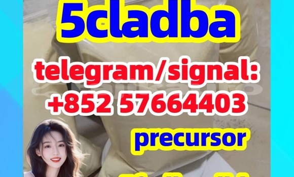 Medium with watermark 53