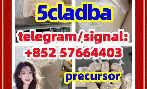 Buy 5CLADBA Raw Materials in Dangara in Khatlon Buy 5CLADBA Raw Materials in Dangara in Khatlon