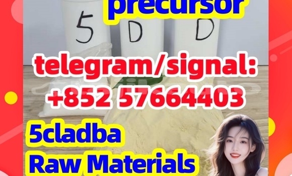 Medium with watermark 54