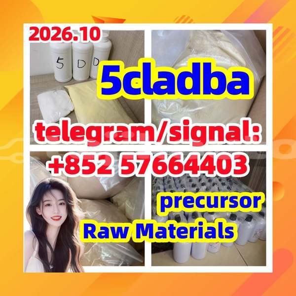 Big with watermark 55
