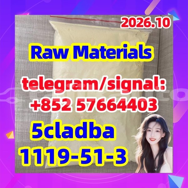 Big with watermark 56