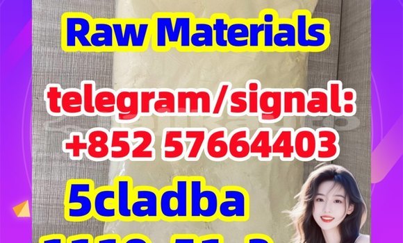 Medium with watermark 56