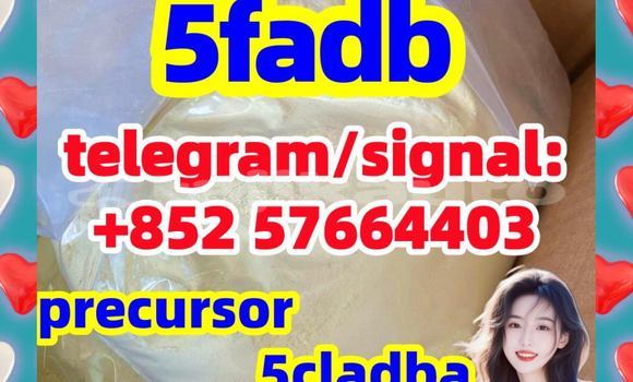 Medium with watermark 58