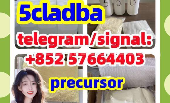 Medium with watermark 59