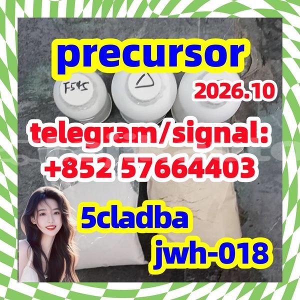 Big with watermark 510
