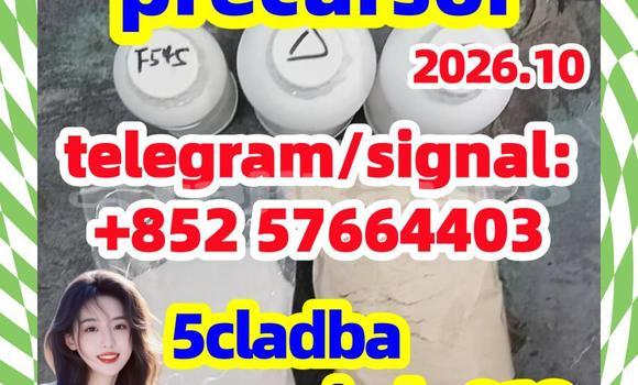 Buy 5cladba, jwh018, adbb in Chkalov in Sughd Buy 5cladba, jwh018, adbb in Chkalov in Sughd