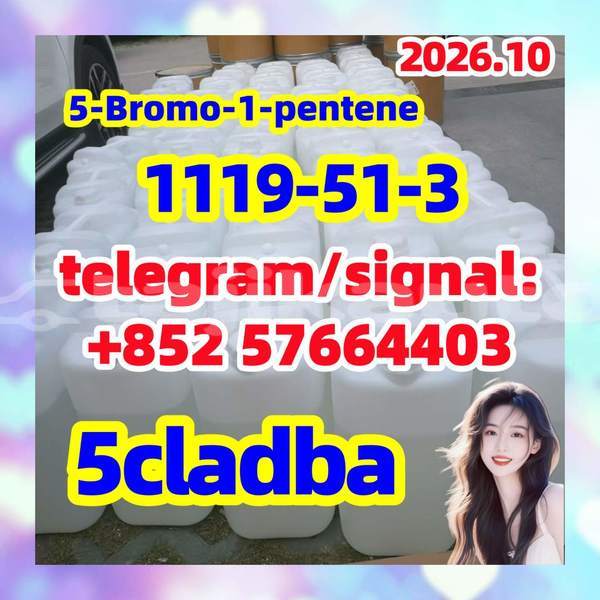 Big with watermark 513