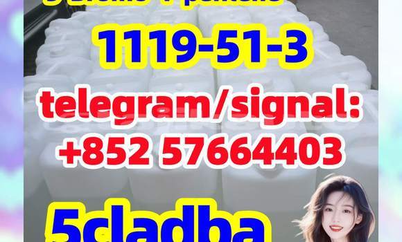 Medium with watermark 513