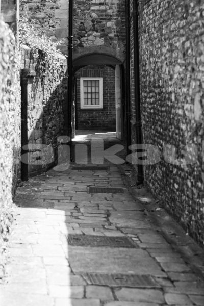 Big with watermark image