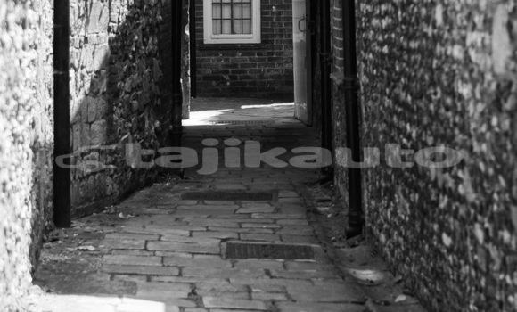 Medium with watermark image