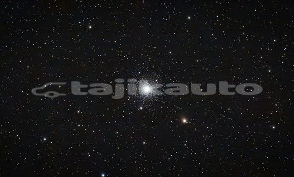 Medium with watermark image