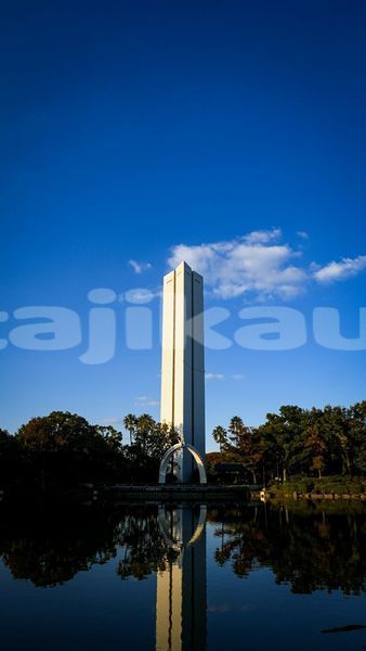 Big with watermark image