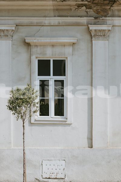 Big with watermark image